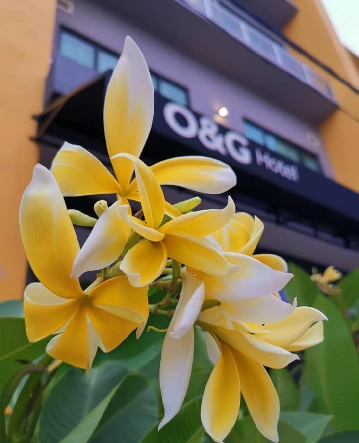 Hotel O&g Parit Buntar